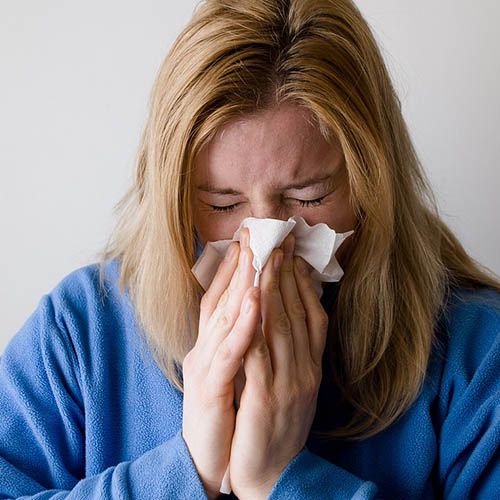 Vue interieure de la Pharmacie Berthault